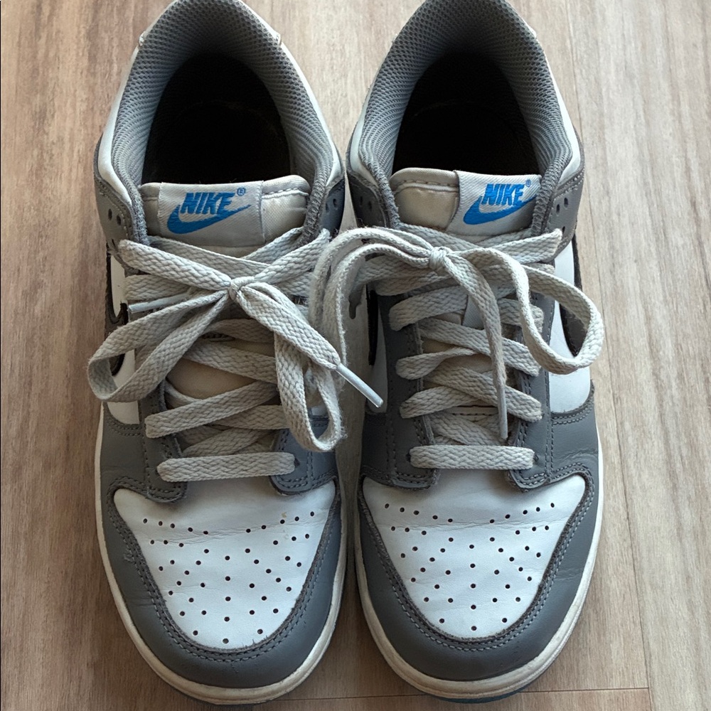 Nike Dunks Boys